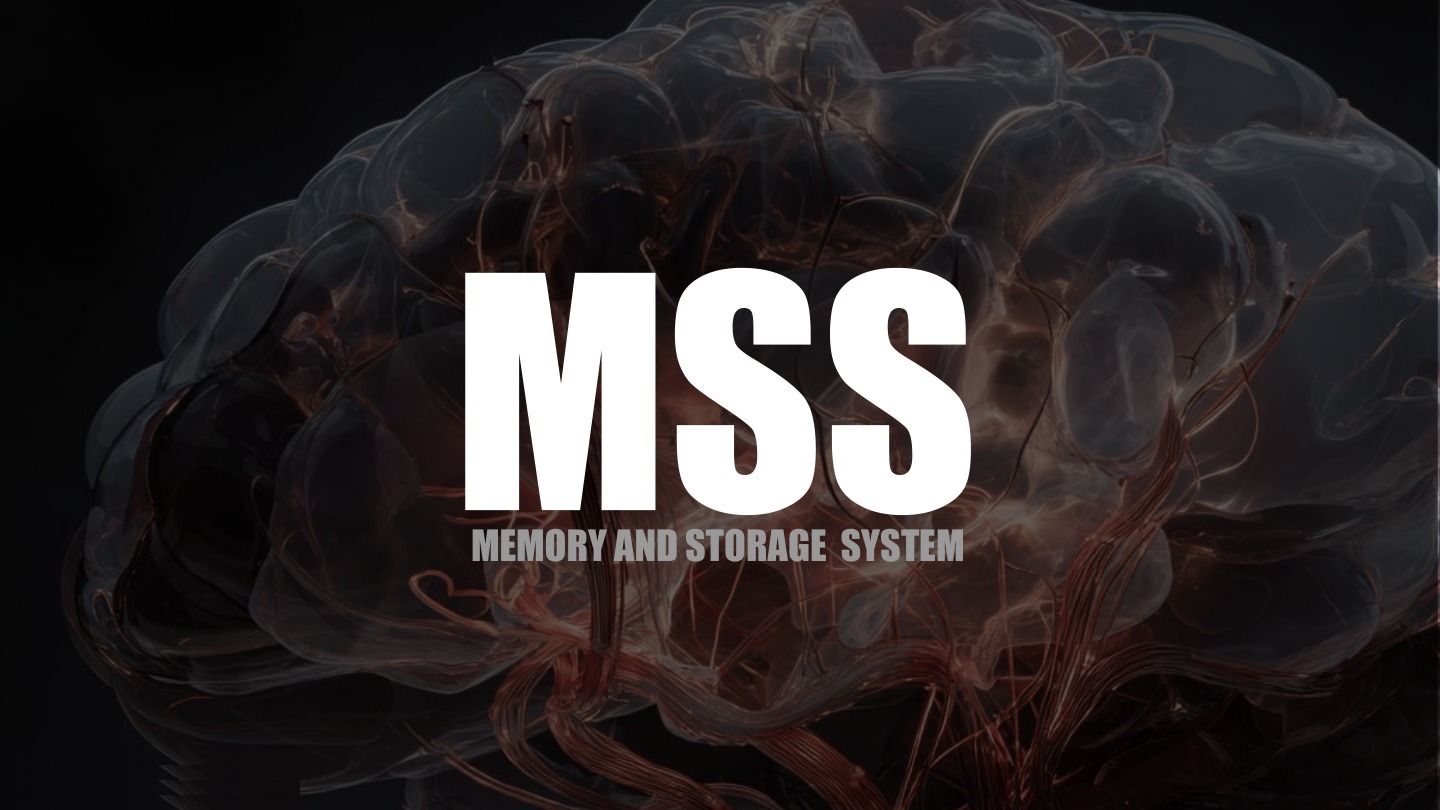 MSS - Memory and Storage System